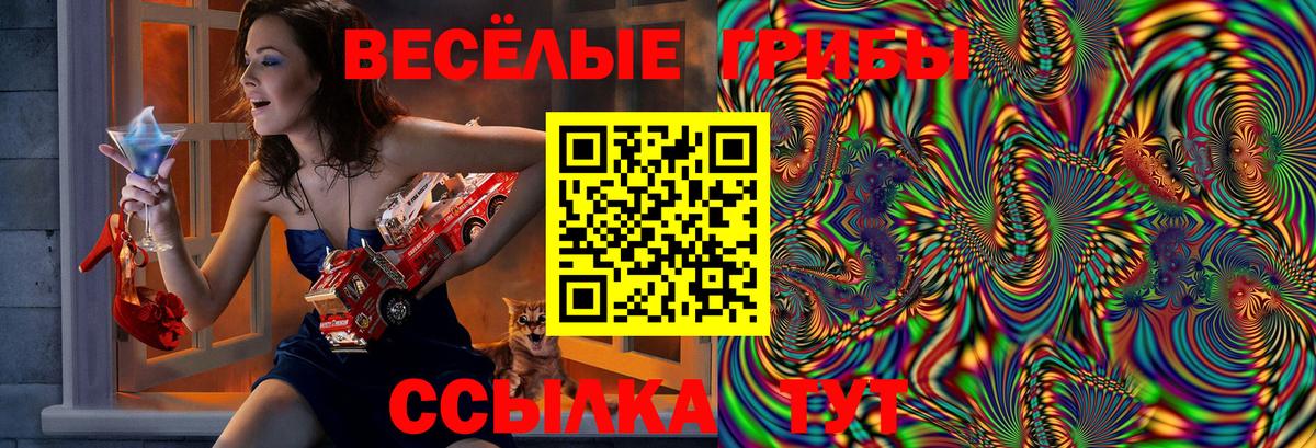 Галлюциногенные грибы ЛСД Егорьевск