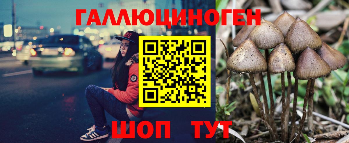 Егорьевск  Псилоцибиновые грибы Magic Shrooms  Вход с VPN  Псилоцибиновые грибы MAGIC MUSHROOMS 